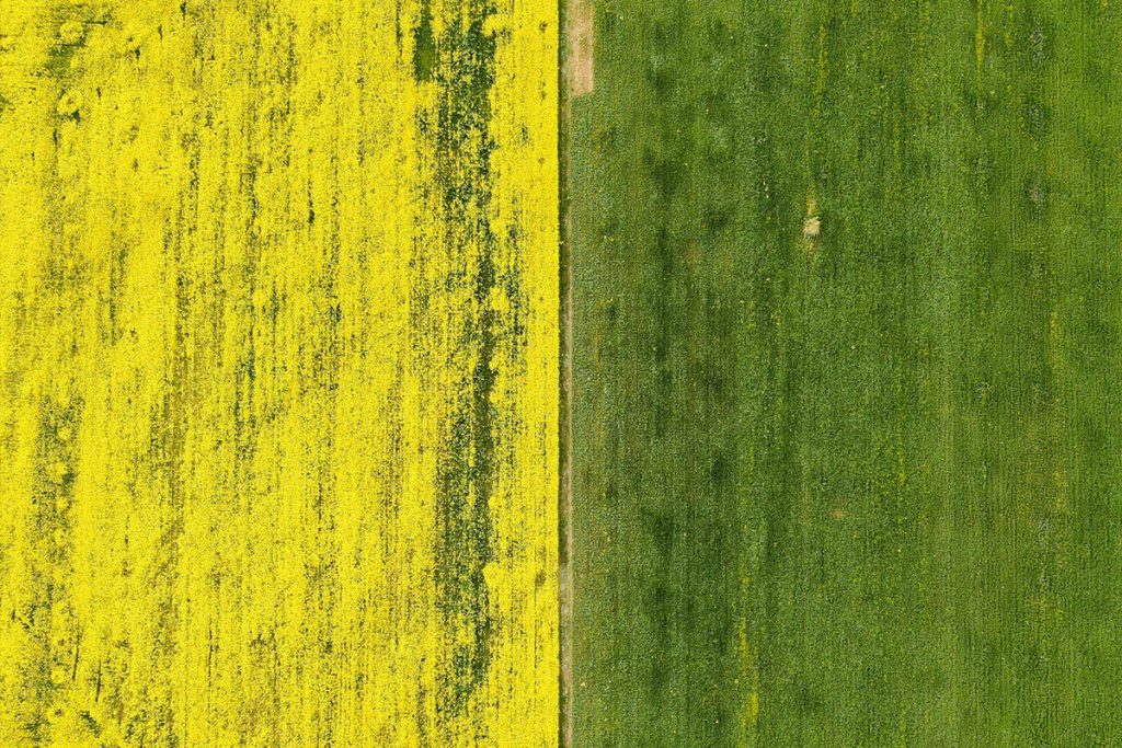 het-veld-advies-banner-home-img-I